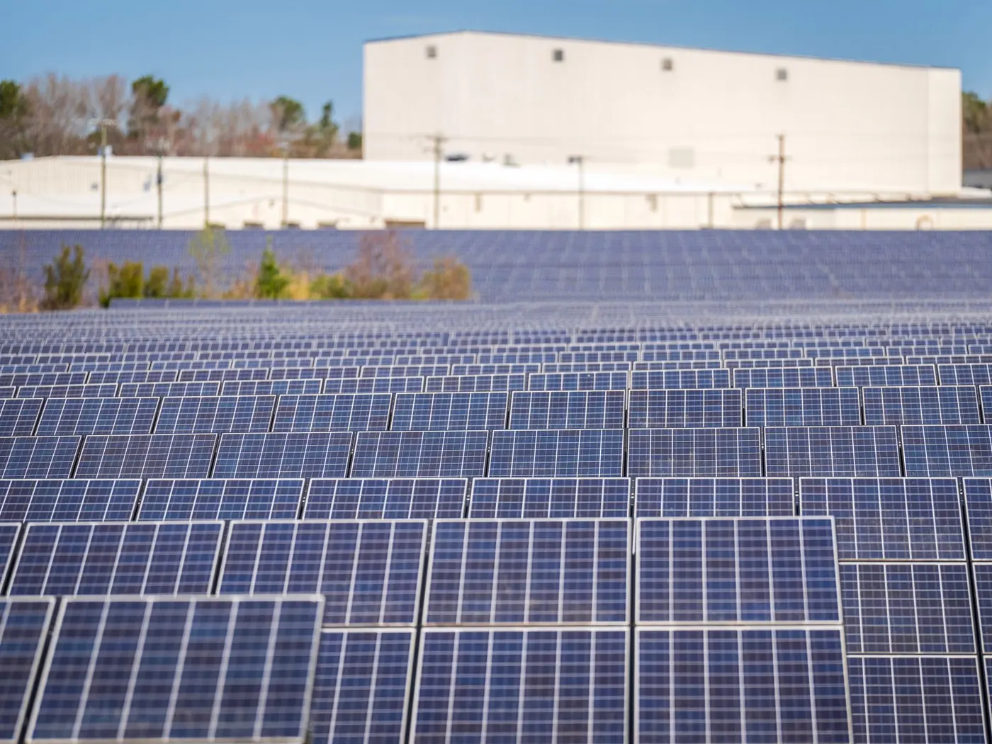 Best Solar Panel Brands in South Africa: JA, Canadian Solar, Longi, Jinko and Trina Compared