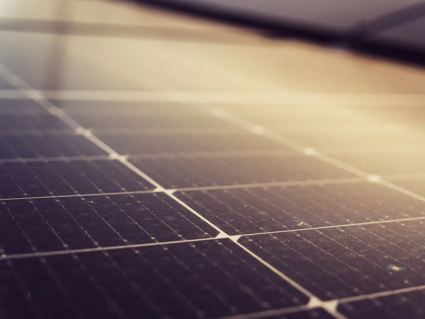 Sunsynk vs Solis Inverters: Which to Choose